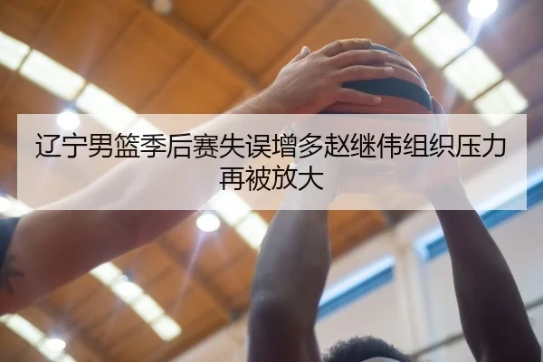 辽宁男篮季后赛失误增多赵继伟组织压力再被放大